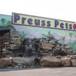 ICE STORM: Caring for exotic & small pets in a power outage